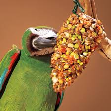 pamlsky a doplňky pro papoušky a exotické ptáky