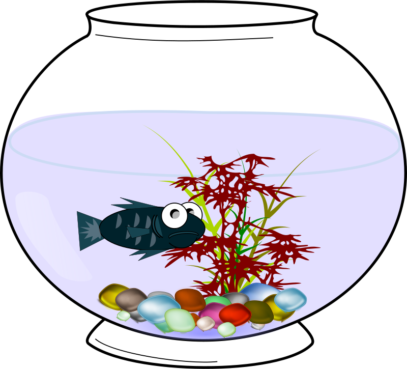 K_4740\_fishbowl2.png