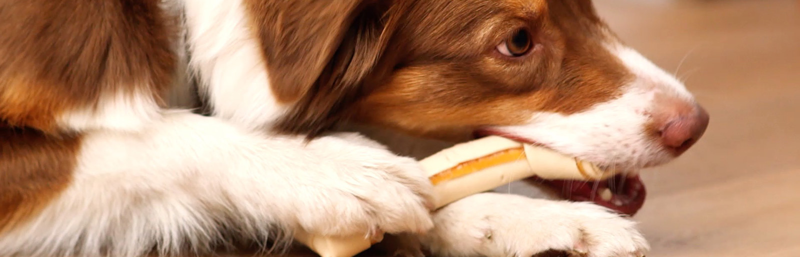 žvýkací pamlsky pro dlouhou chvíli vašeho psa