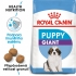Royal Canin GIANT puppy 1kg